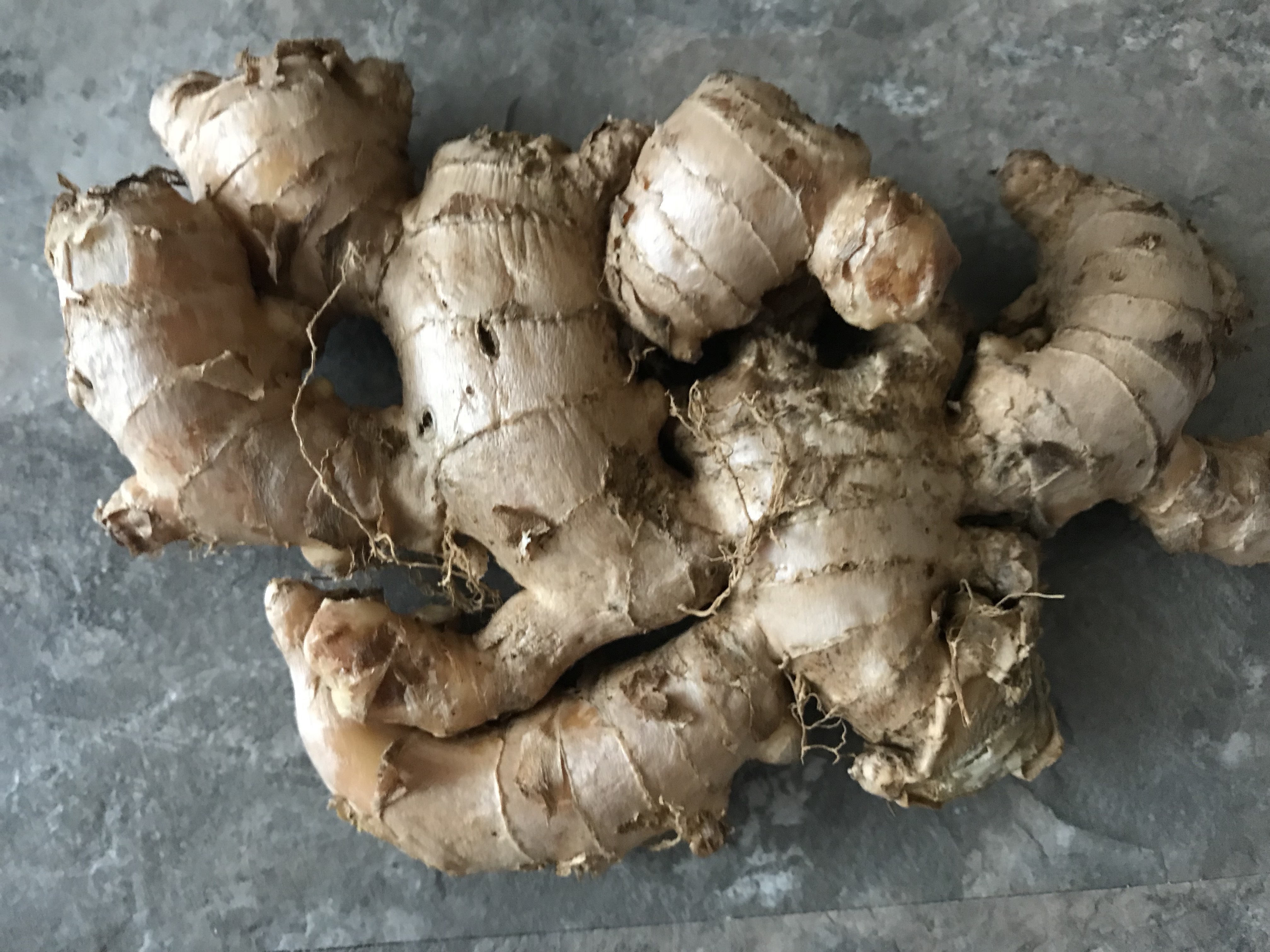 Ginger Edible Plant Fawnefinnean